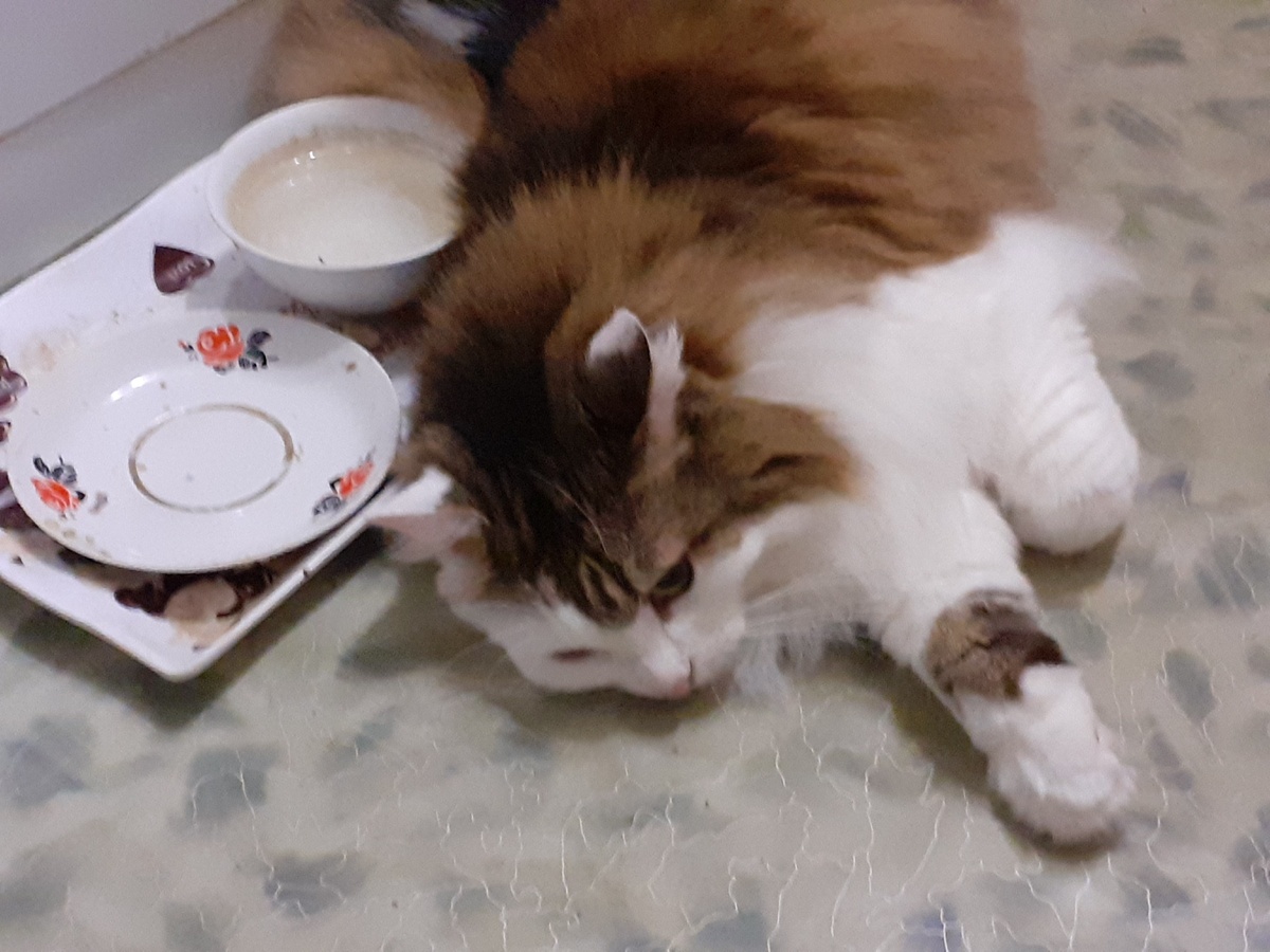 Фото из личного архива автора.