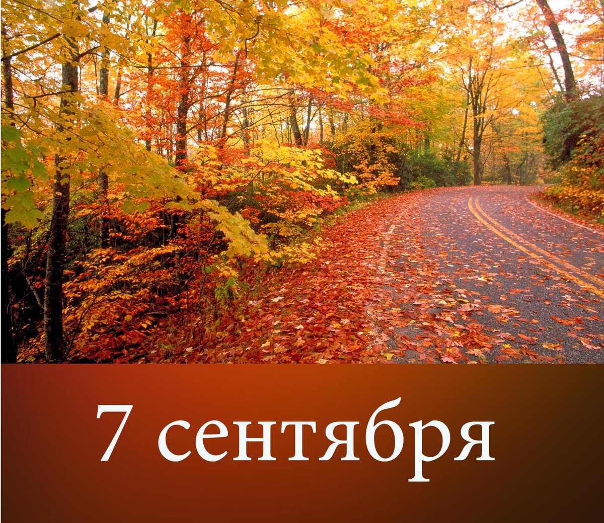 Осенний пейзаж с пожеланиями. Добрый день листопад. Доброго дня и хорошего настроения осенний лес. Пожелание доброго утра осенний листопад. Осенний листопад с пожеланиями.