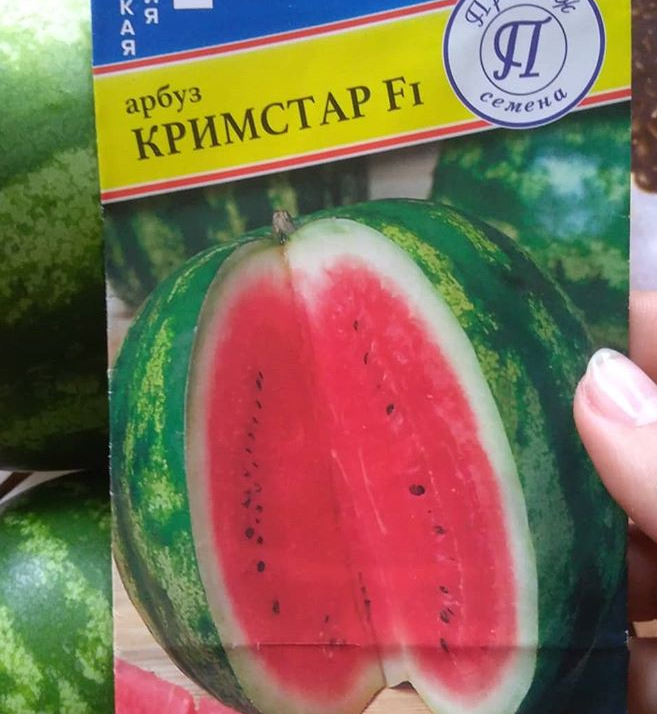Пачка семян арбуза Кримстар. Всего в пачке было пять семян.