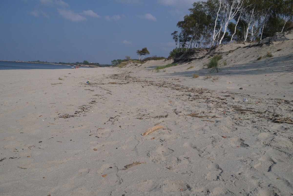 Найти потерянное золото в море