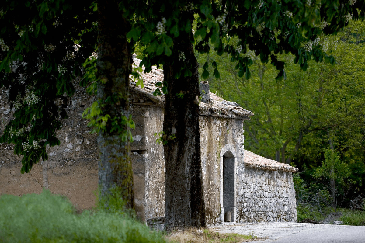 источник: сайт Feudi di San Gregorio