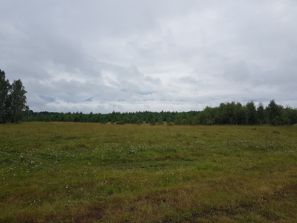 Село советско никольское. Лес Нылгинский район Ижевск. Внесение земельных участков Ижевск.