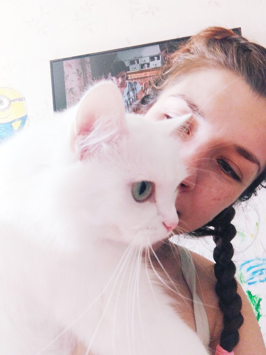 На своей кошке экономить не могу