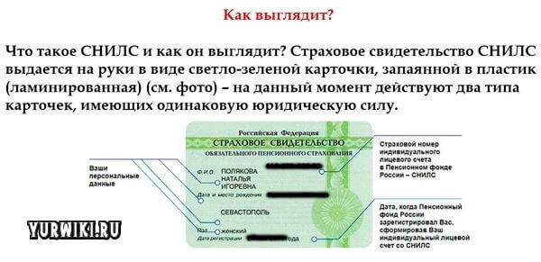 Что дает снилс. Страховой номер индивидуального лицевого счёта. СНИЛС. Номер СНИЛС. Как выглядит СНИЛС.