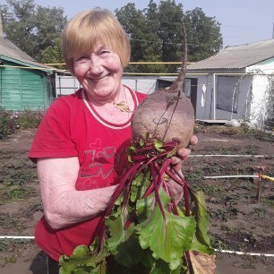 Такой урожай