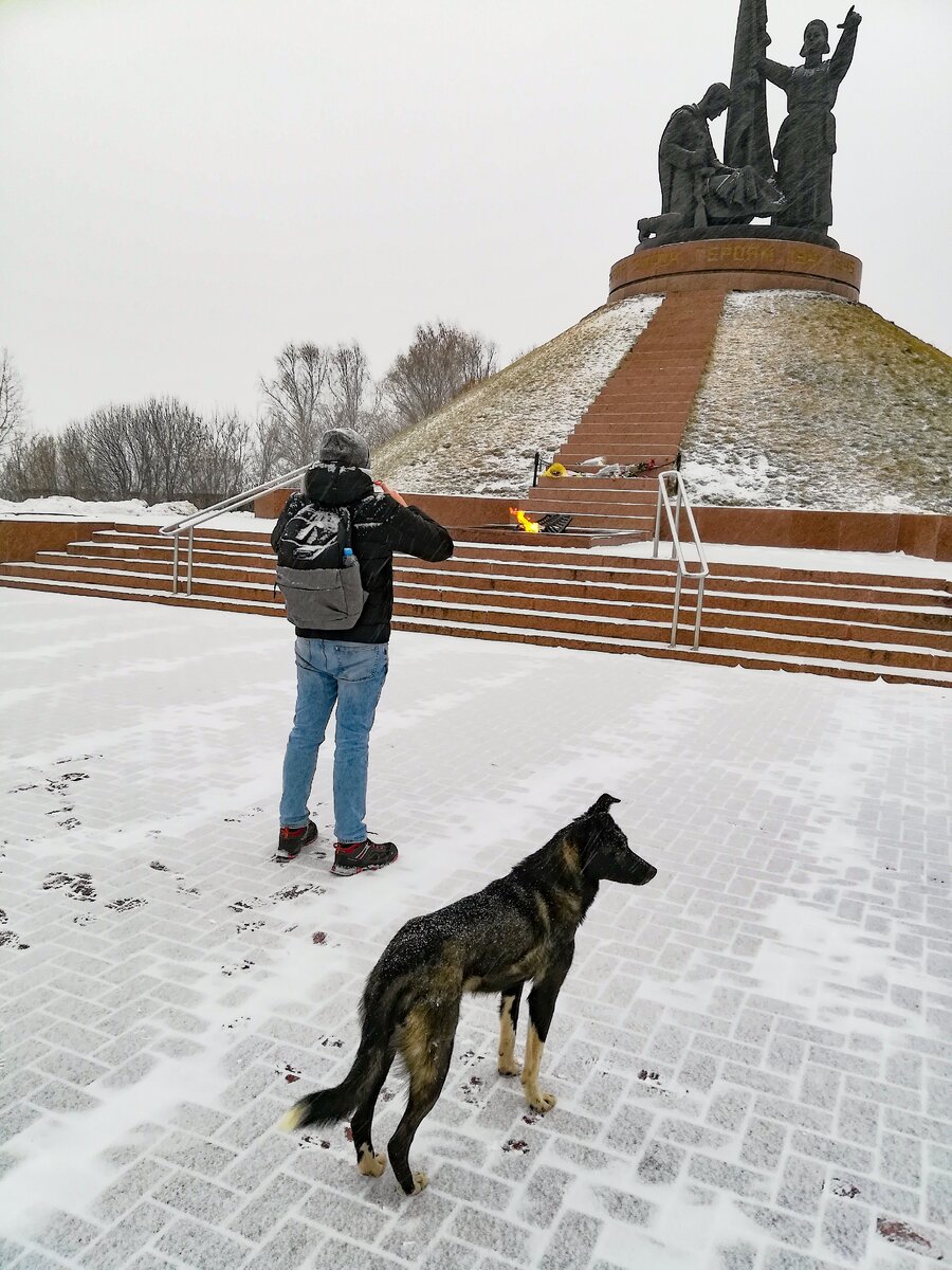 Блогер за работой, а пес охраняет