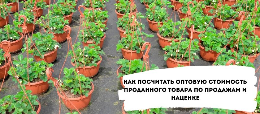Изображение с сайта http://shopcoach.ru/