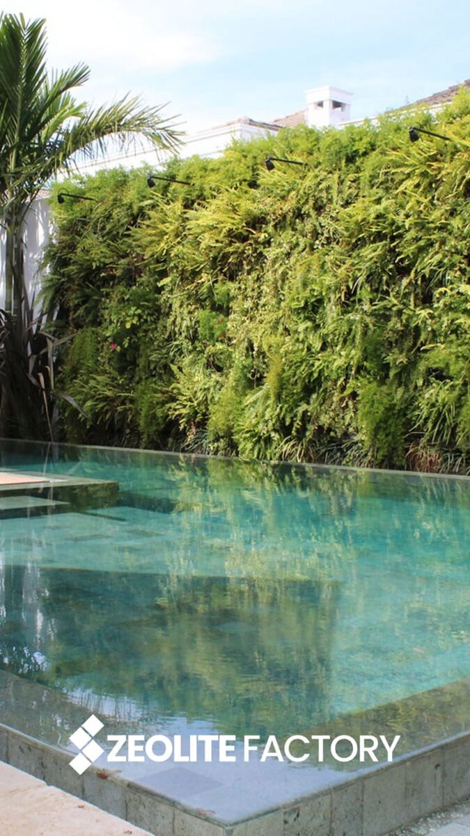 ООО Алоя Евро пул 