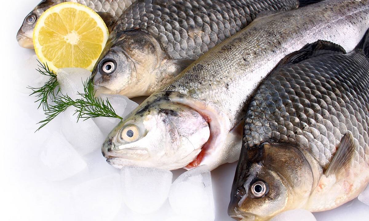 фото из интернета