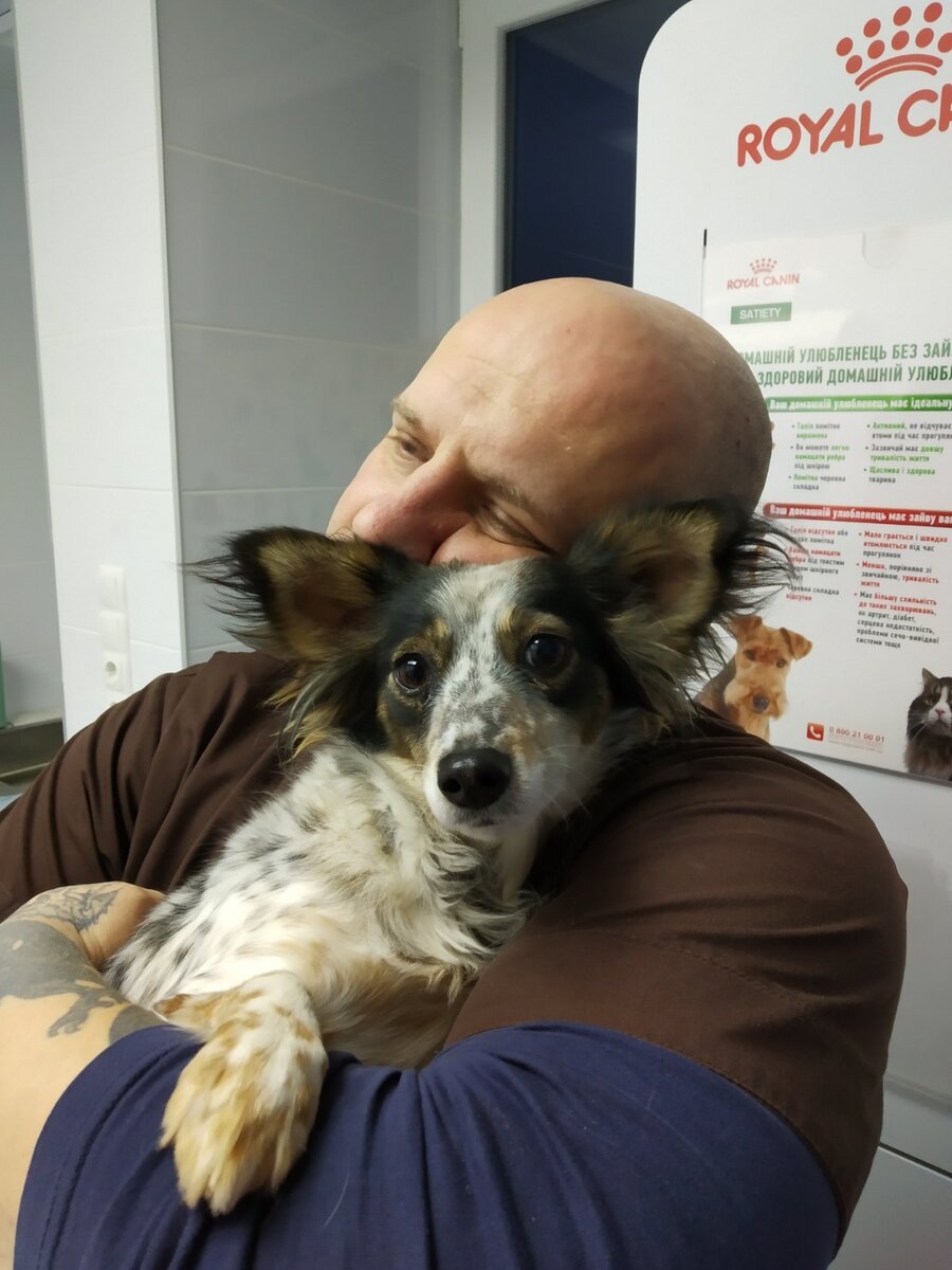 Мы в ответе за тех,кого приручили.Меня зовут Александр.Я Ветеринар.Помощь животным-это подарок от Бога.