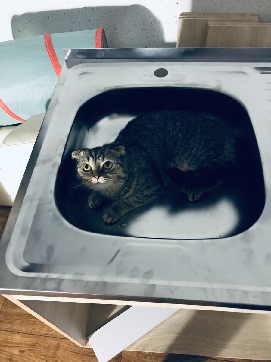 Фото из личного архива 