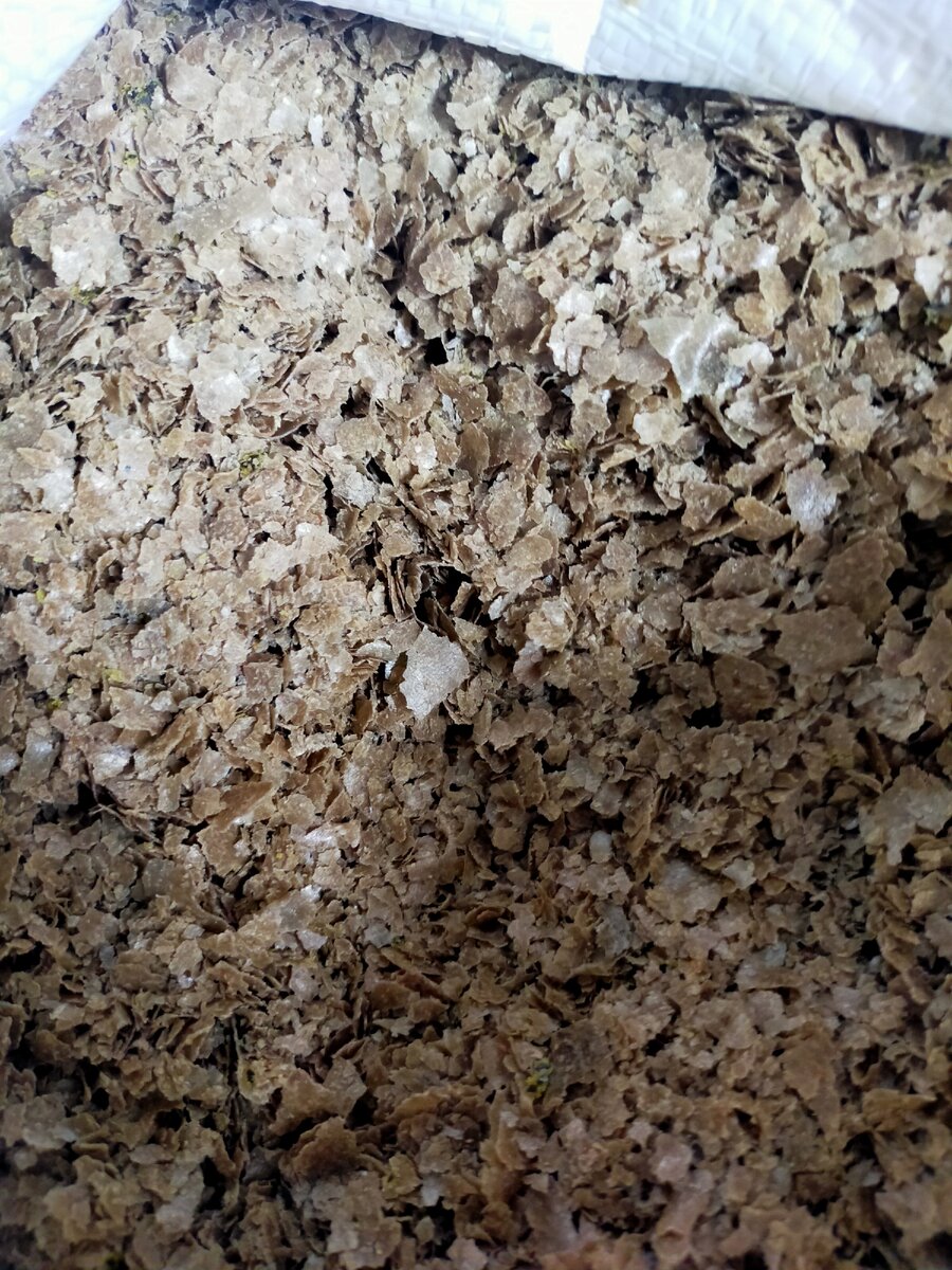 Фото от автора.Жмых ядра подсолнуха.