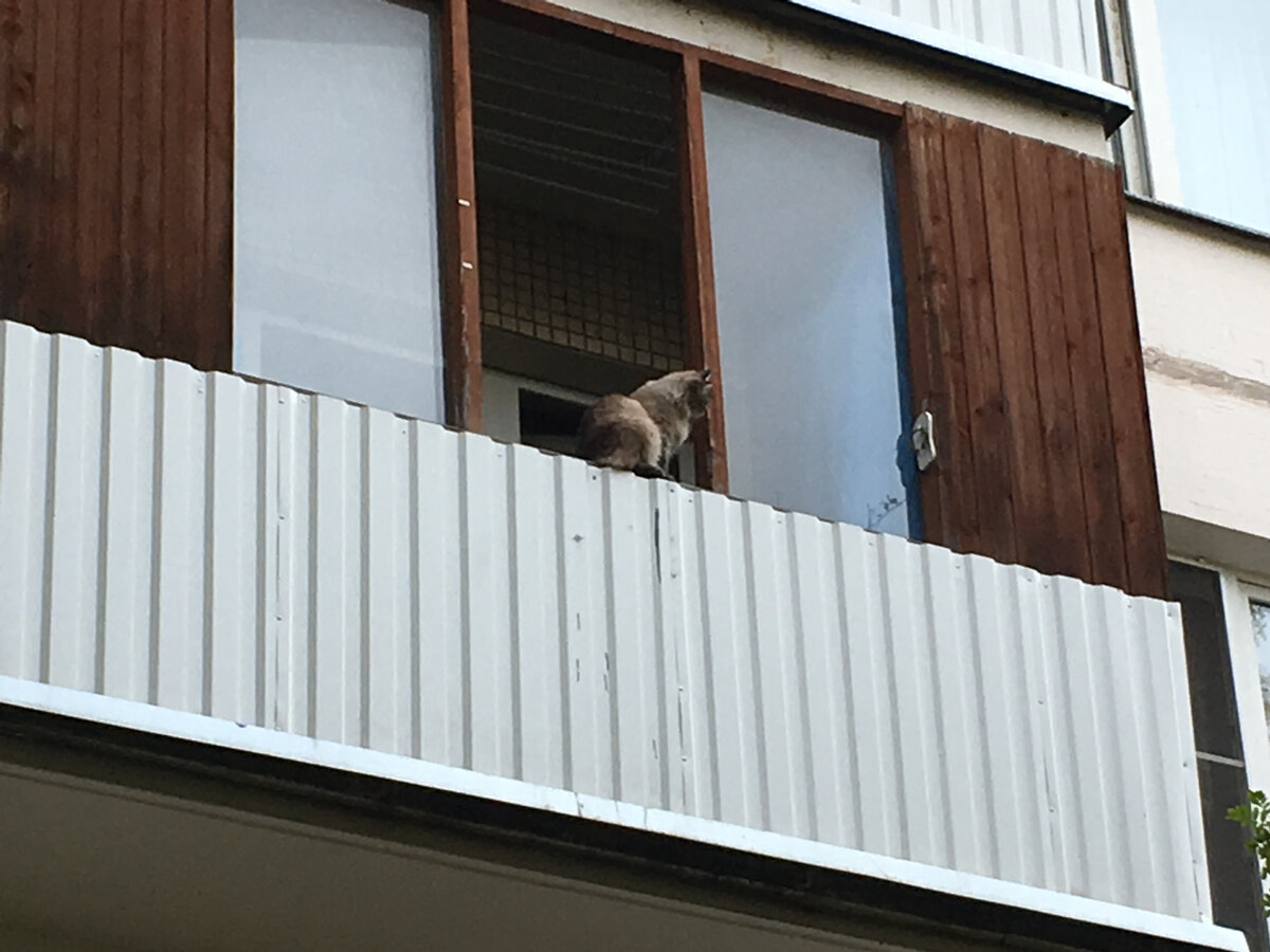 Очень бдительный контролер на балконе замечен автором поста