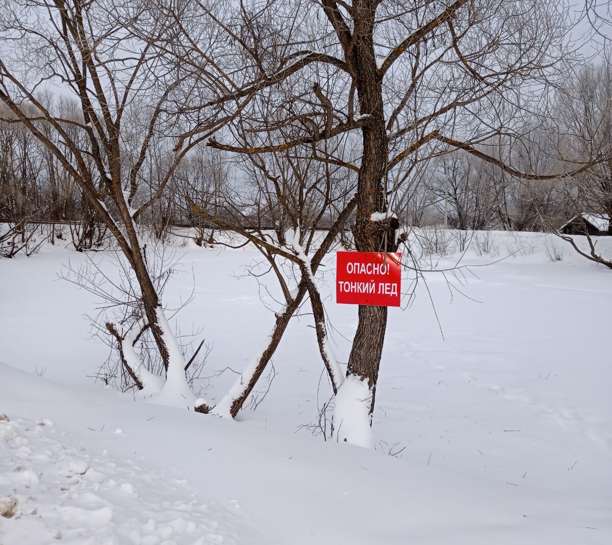 Говорить с детьми  на " не детские" темы, словно ходить по тонкому льду... 