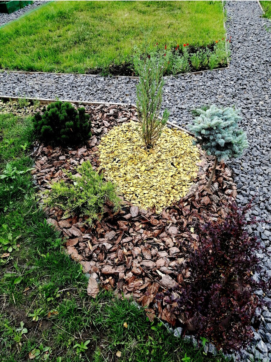 Рокарий из 5 растений 