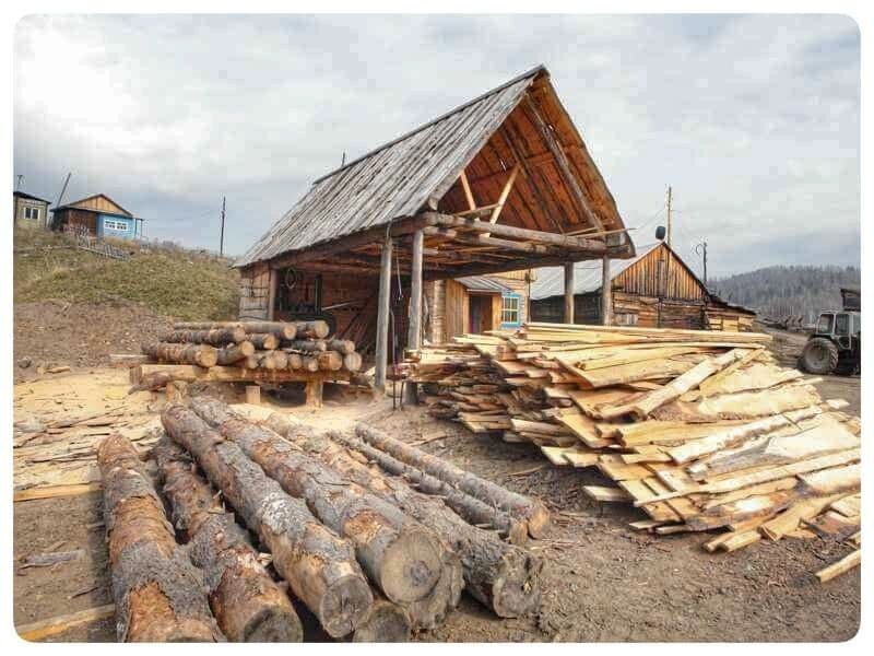 бизнес по переработке леса