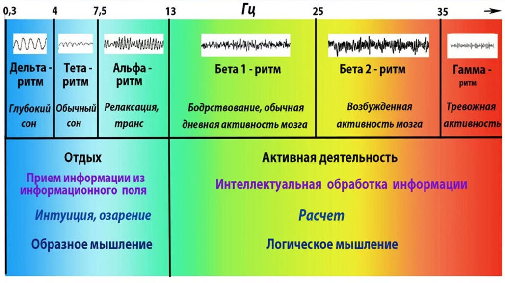 Ритмы головного мозга и их стимуляция | Живица | Дзен