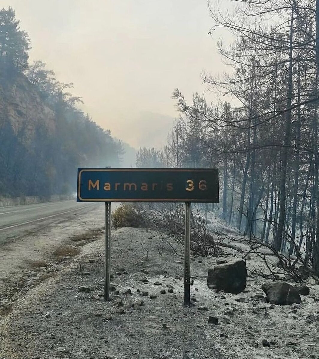 Регион Мармариса сейчас в плачевном состоянии. Фото из соцсети Инстаграм. Листайте