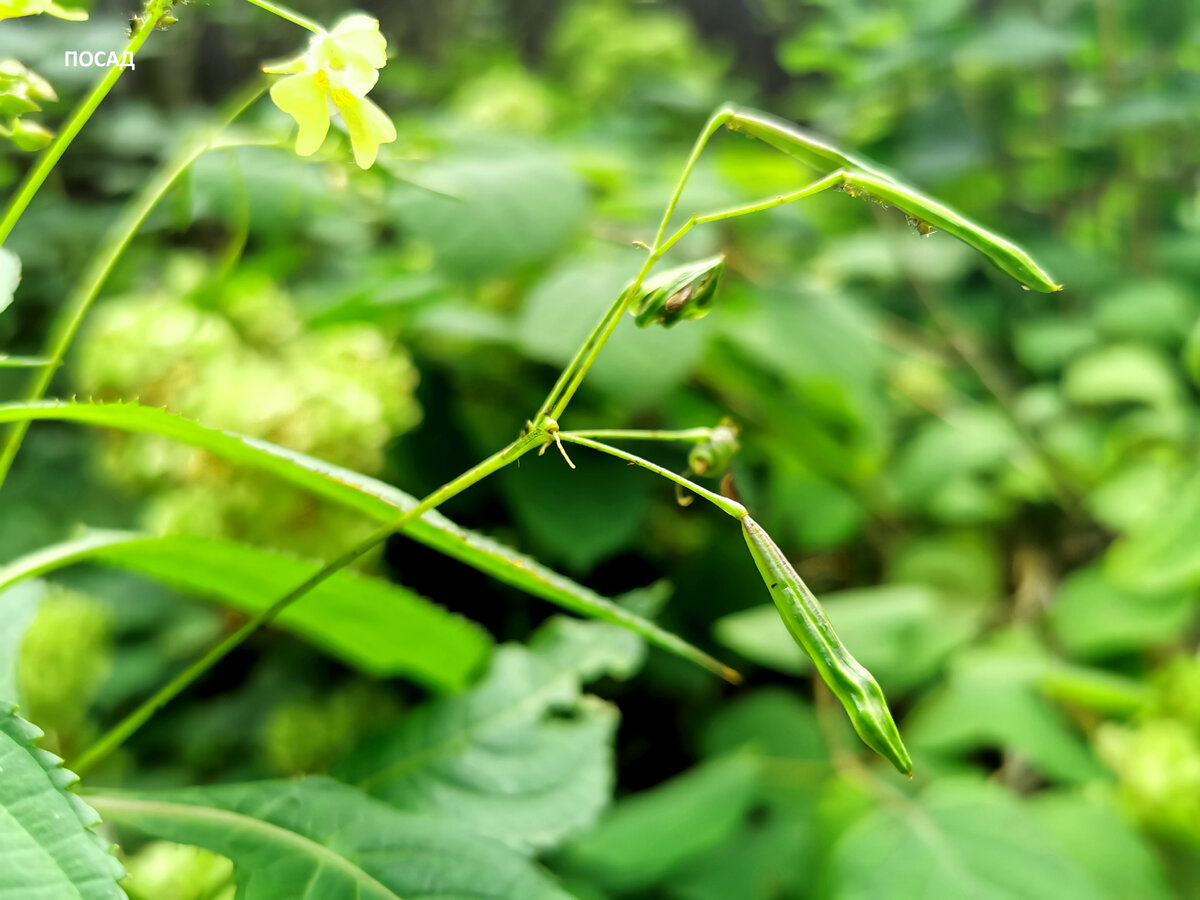 Антистресс советских детей.