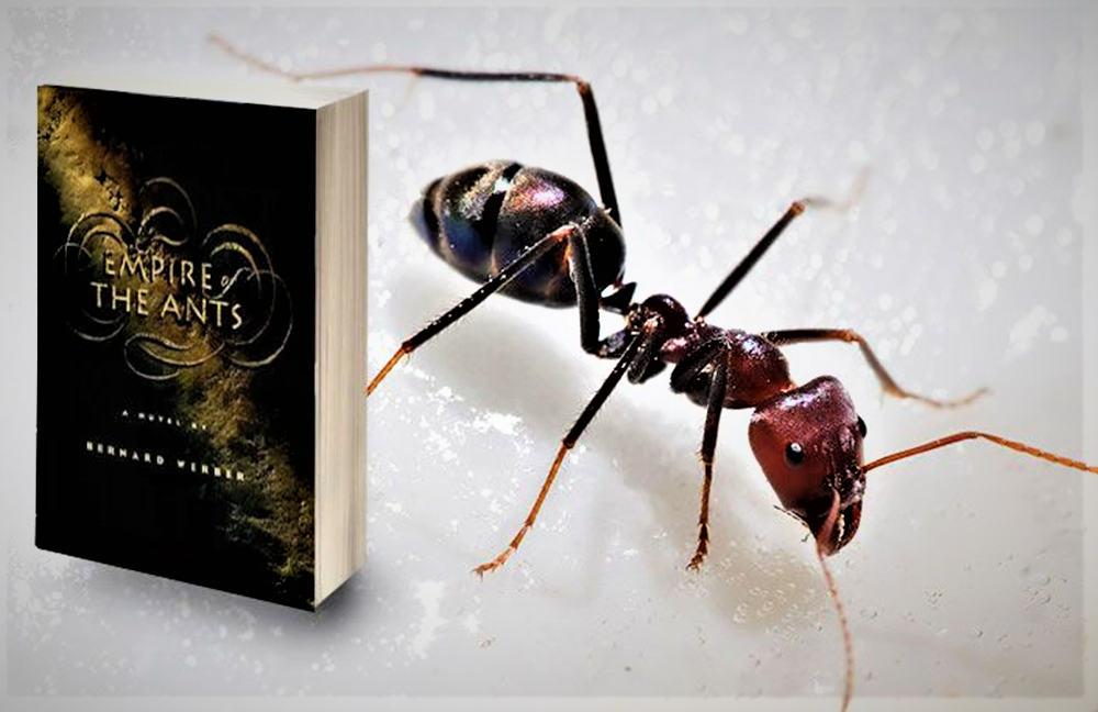 Книга про муравья. Бернард Вербер муравьи трилогия. Книга про муравьев Вербер.