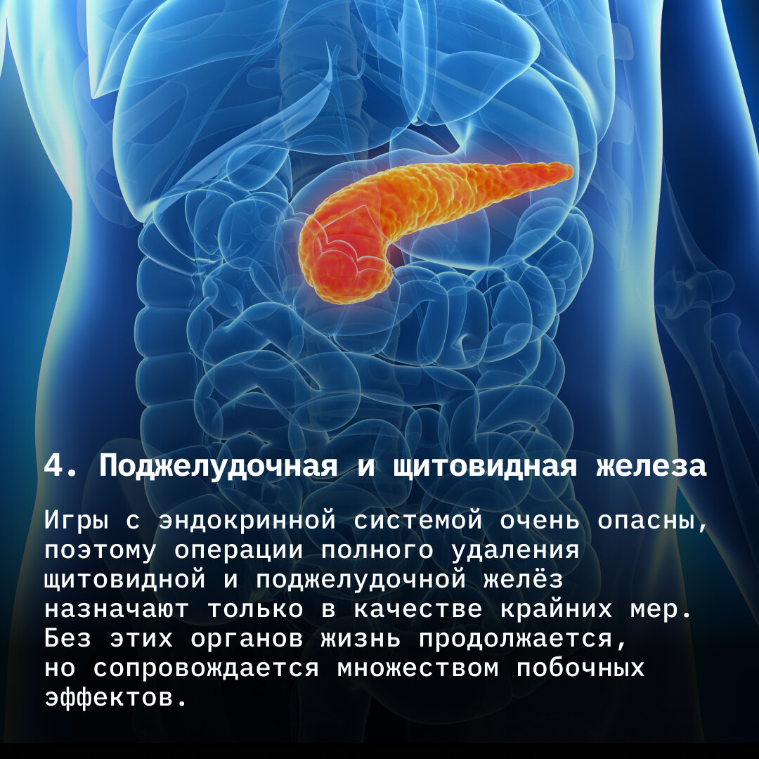 сколько сперма может жить вне организма фото 36