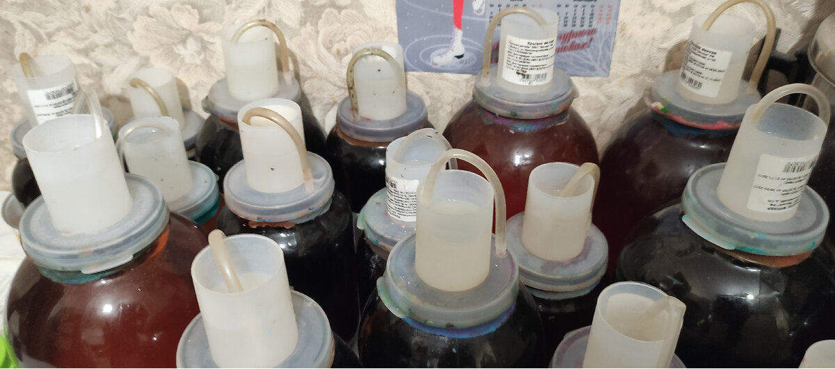 Так выглядит простейший водяной затвор в виде крышки