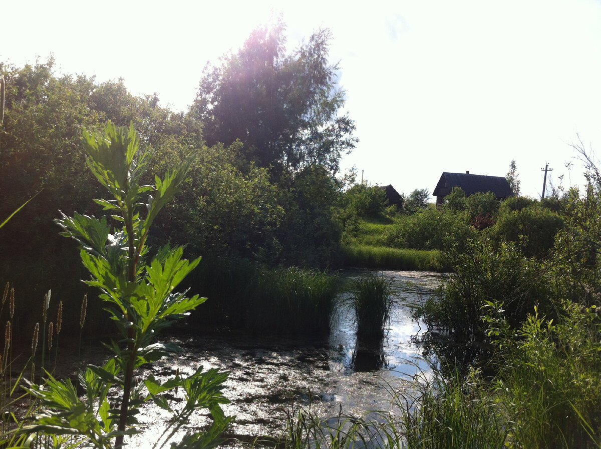 Наша деревня