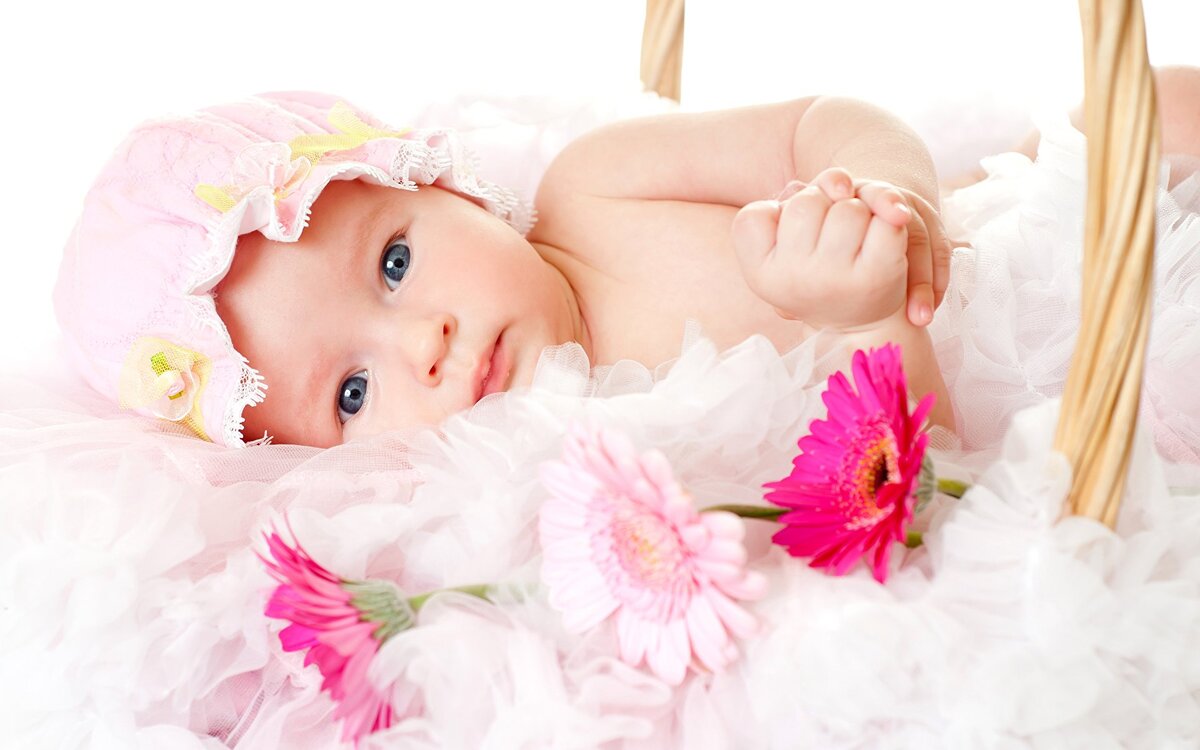 Фото взято из поисковой системы Яндекс