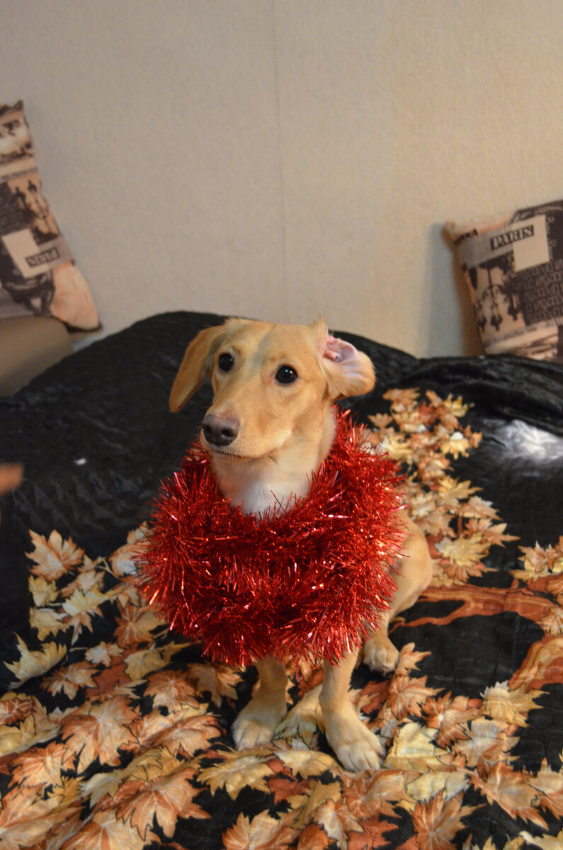 Самая любимая девочка!