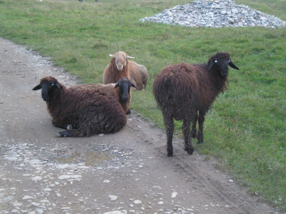Друзья мужа глазами жены. Фото автора.