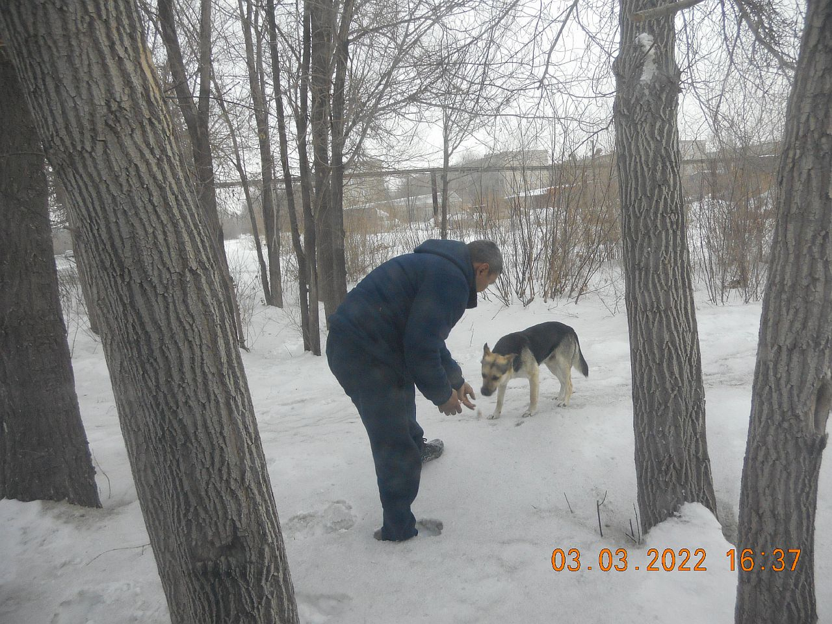 Фото: пресс-служба администрации МО г. Новотроицк