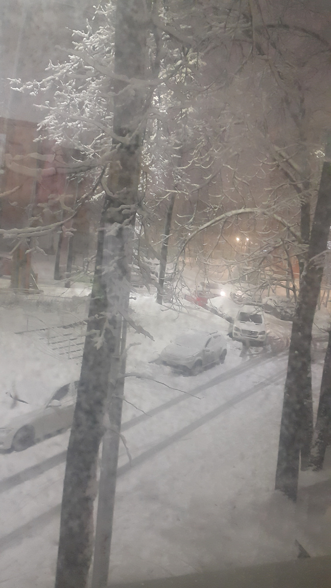 Фото автора. А у нас во дворе 3 апреля...