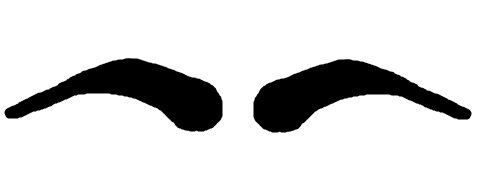 Это бровки царицы или королевишны. Они как крылья гроциозной лебедихи