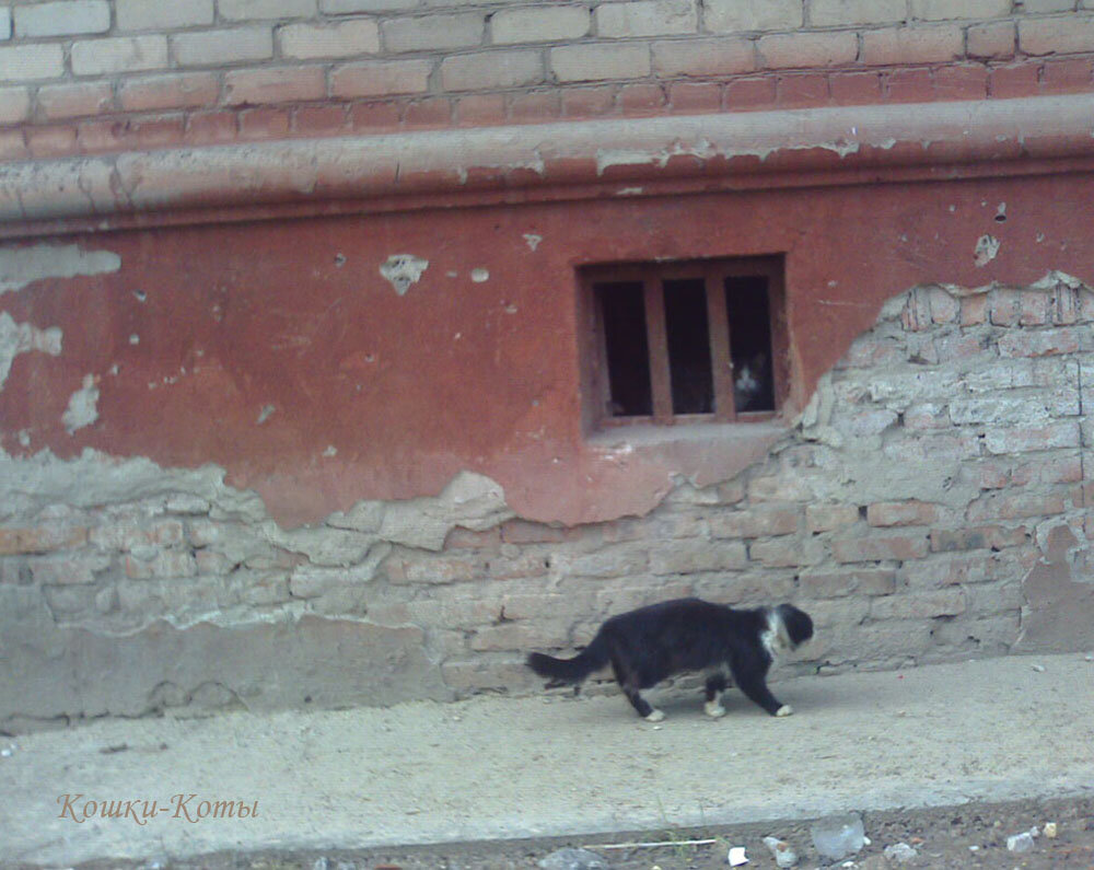 1. Куда это ты идешь, такой серьезный, Вася?