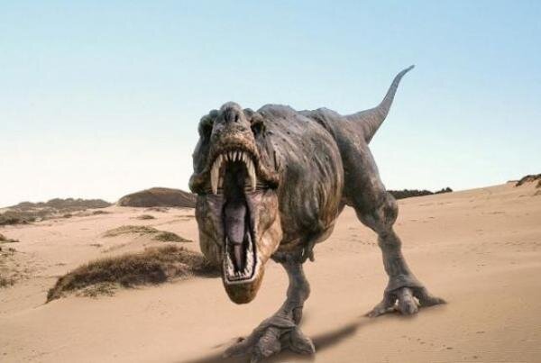 Источник фото: пресс-служба ЮФУ 