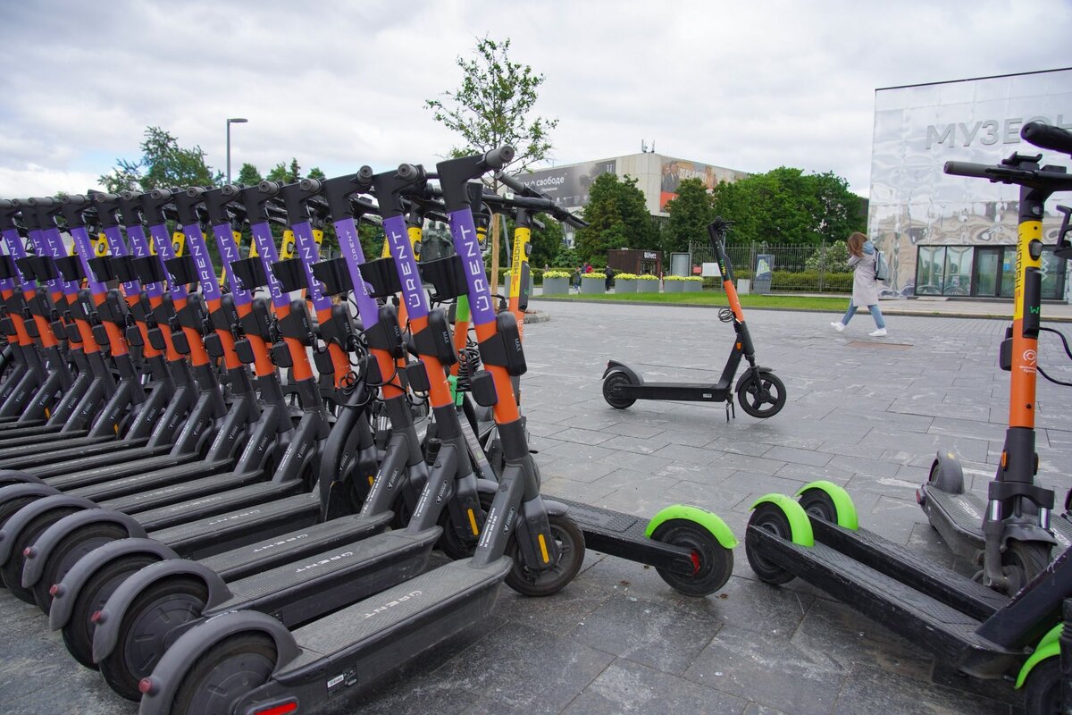 Фото из интернета 