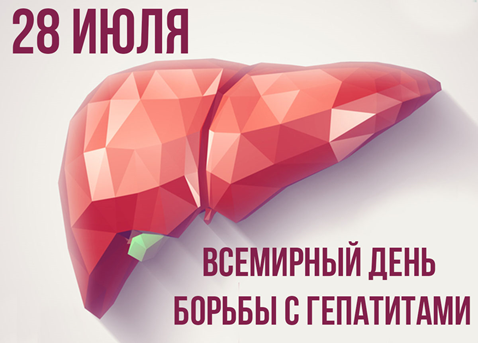 28 июля - день рождения  американского врача Баруха Самюэля Блумберга, лауреата Нобелевской премии, который открыл вирус гепатита В и изучил его патологическое воздействие на печень.
