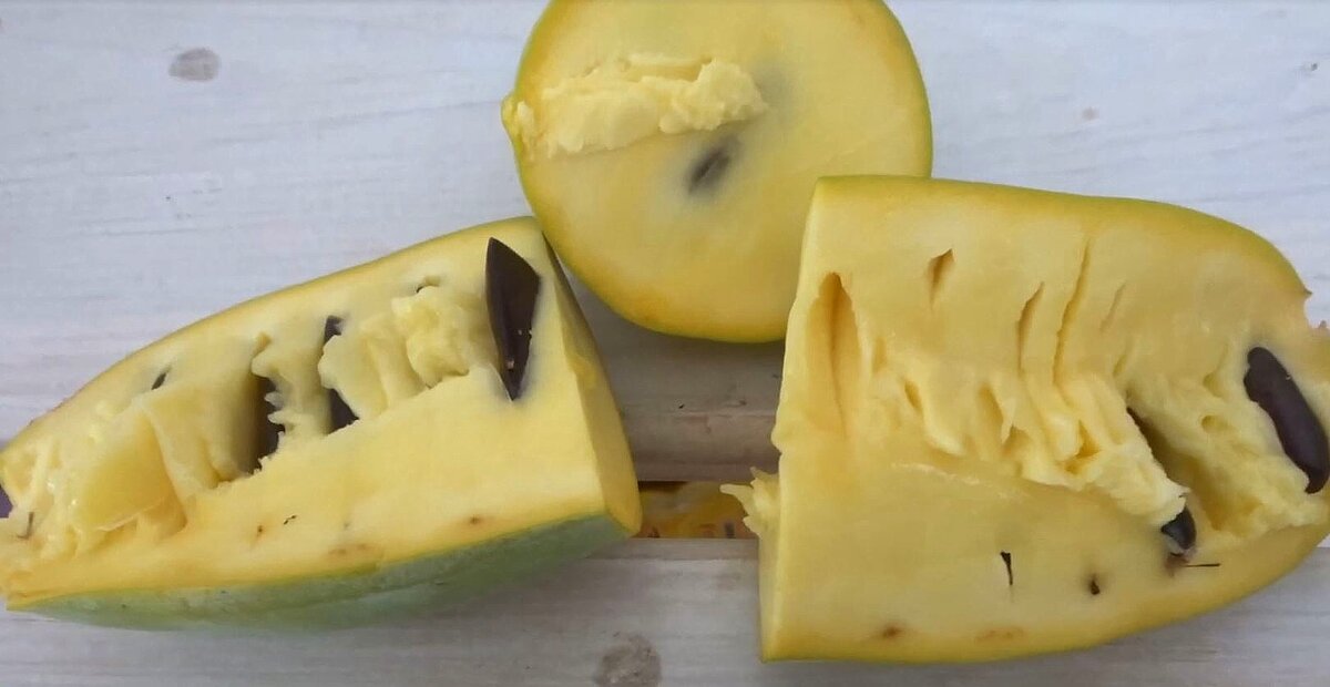 Спелый плод азимины