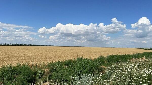   © Украина.ру / Федор Громов