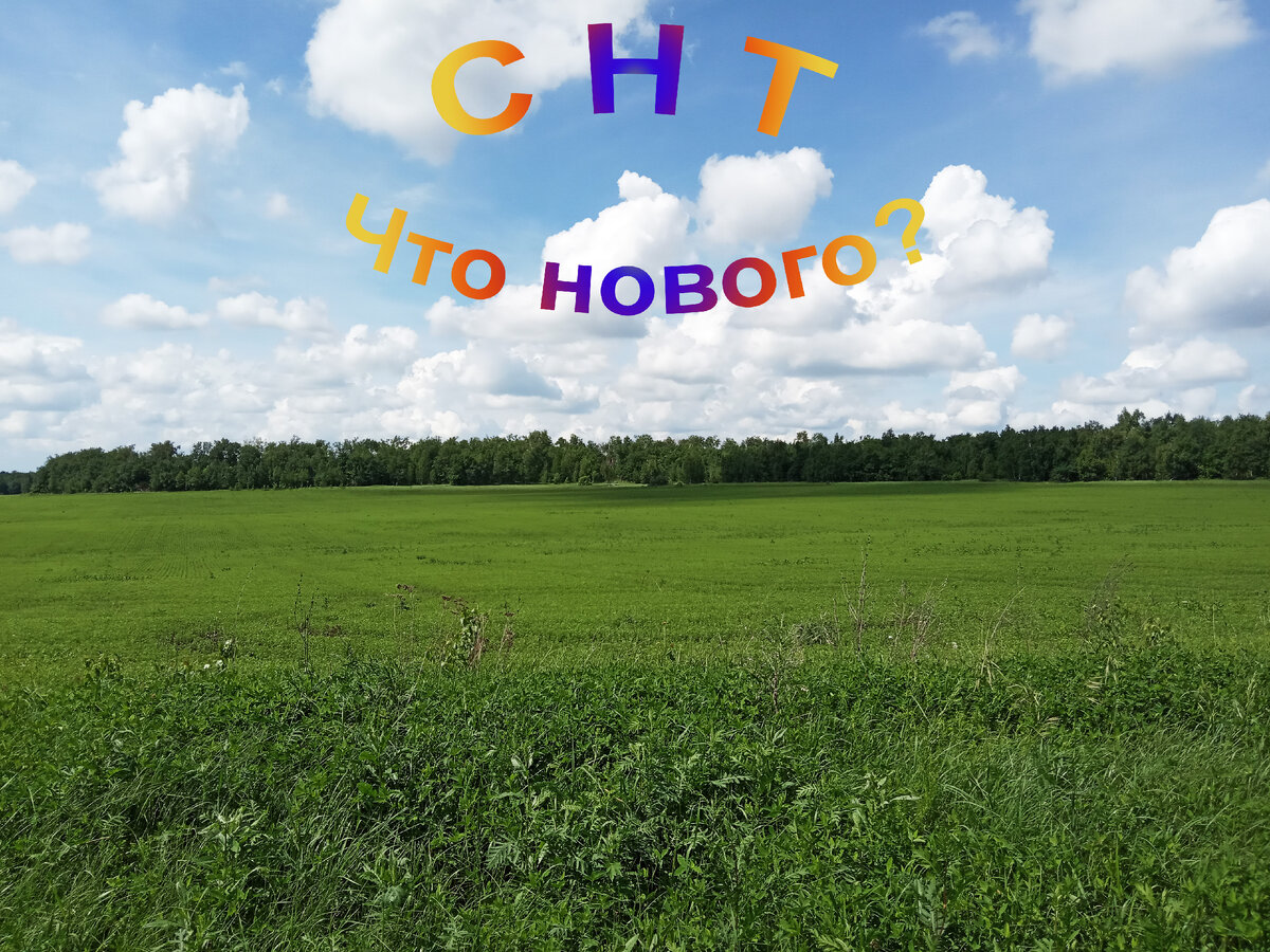 Что нового в регулировании садоводства и огородничества