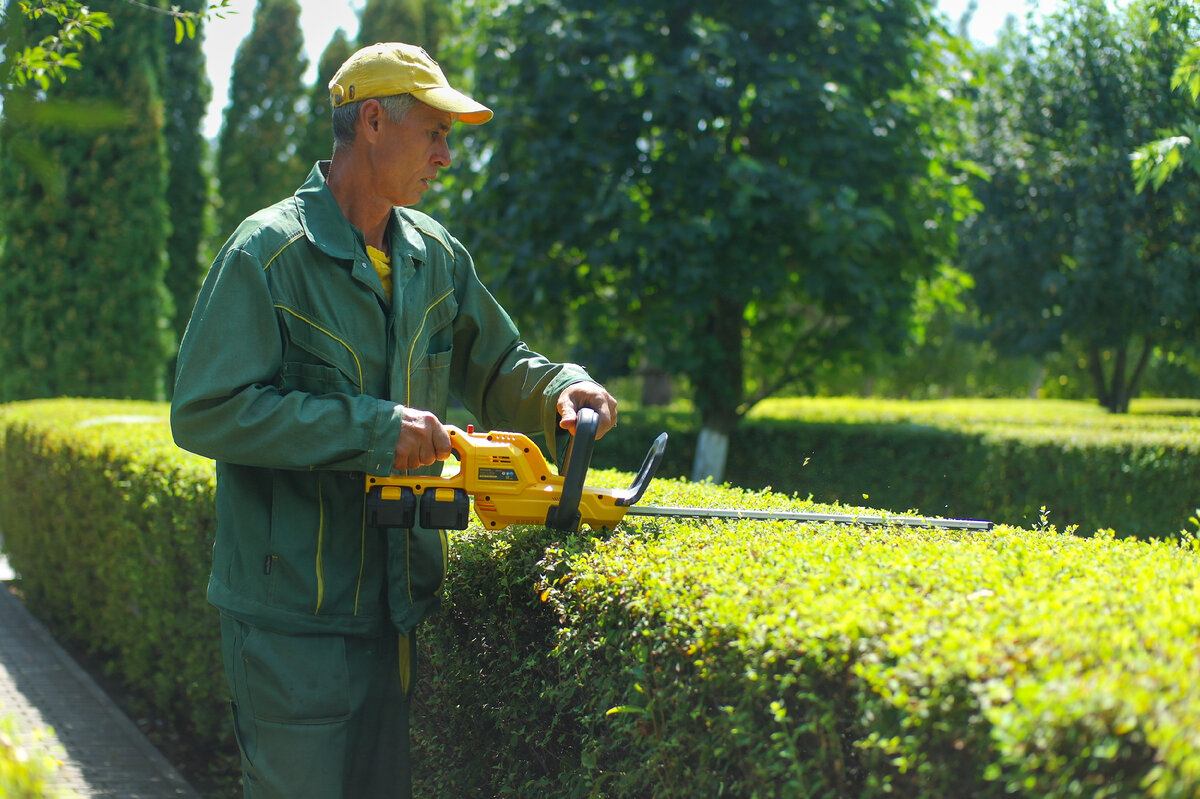 Denzel RBC510-36 Cordless Brush Cutter – аккумуляторный садовый кусторез с мощным коллекторным электромотором на 36V, комплектующийся сразу двумя аккумуляторами. Что из этого вышло, узнаем далее.-14