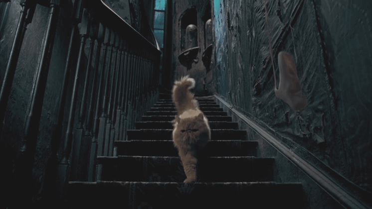 Гарри Поттер: 5 безумных фанатских теорий, которые могут быть правдой. GIF-изображение автора