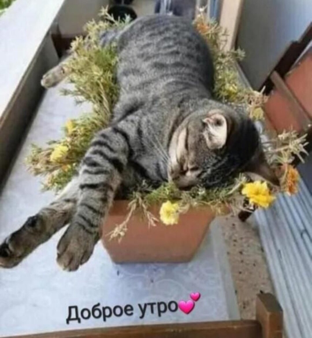 Спасибо за ваши комментарии! Вчерашняя статья была какой-то тревожной. Зато я выговорилась и, наверное, поняла Главный посыл - делай, что надо и будь что будет!