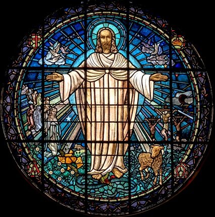 Изображение из открытого источника. Unsplash