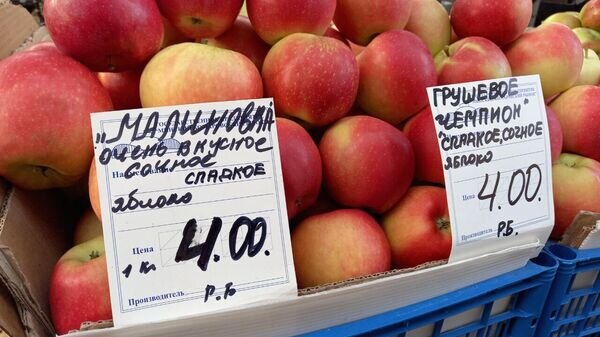    © Sputnik / Александр Жибуль