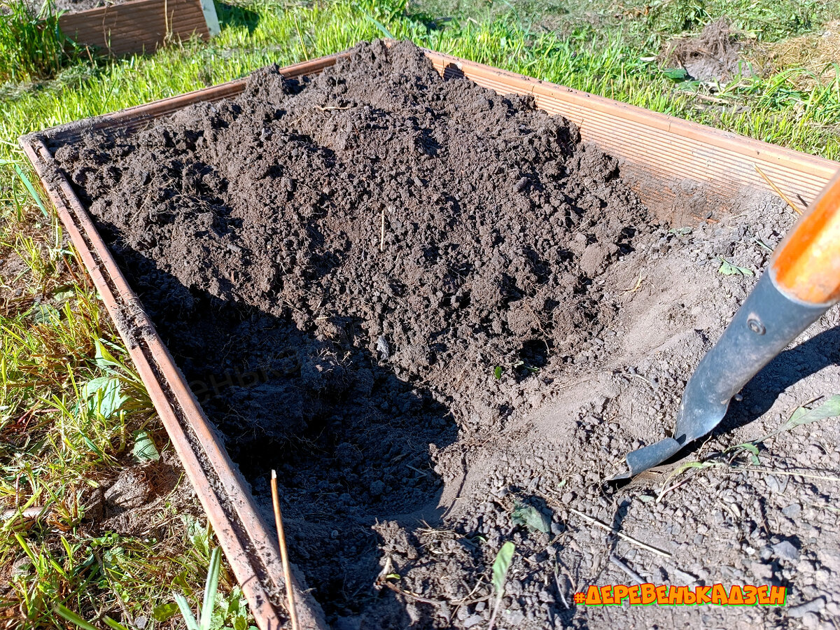 Быть или не быть...