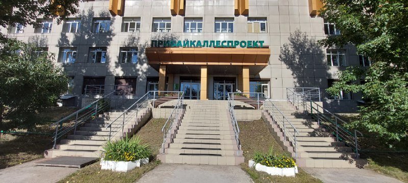 Реклама. ФГБУ «Рослесинфорг» «Прибайкаллеспроект» erid: 4CQwVszH9pUkprhvtQj