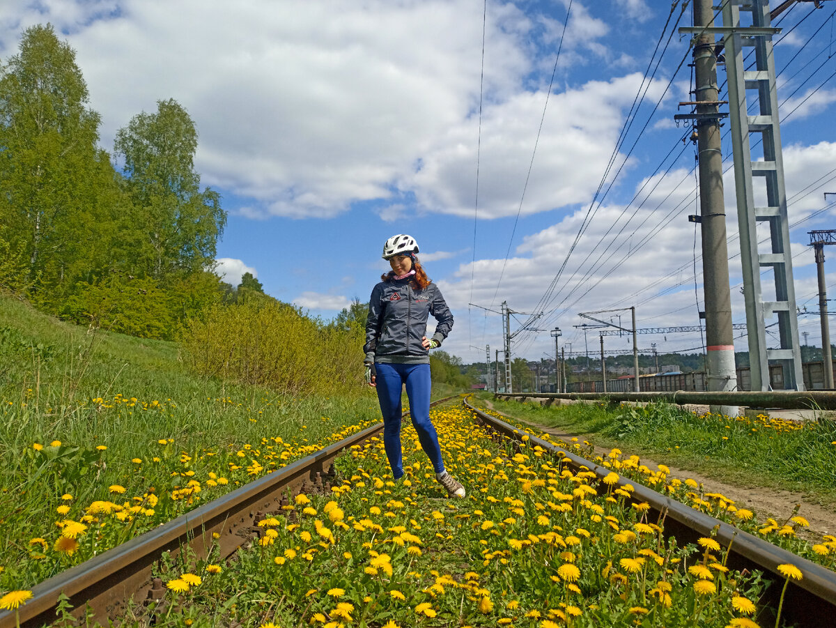 Одуванчики на старой железной дороге