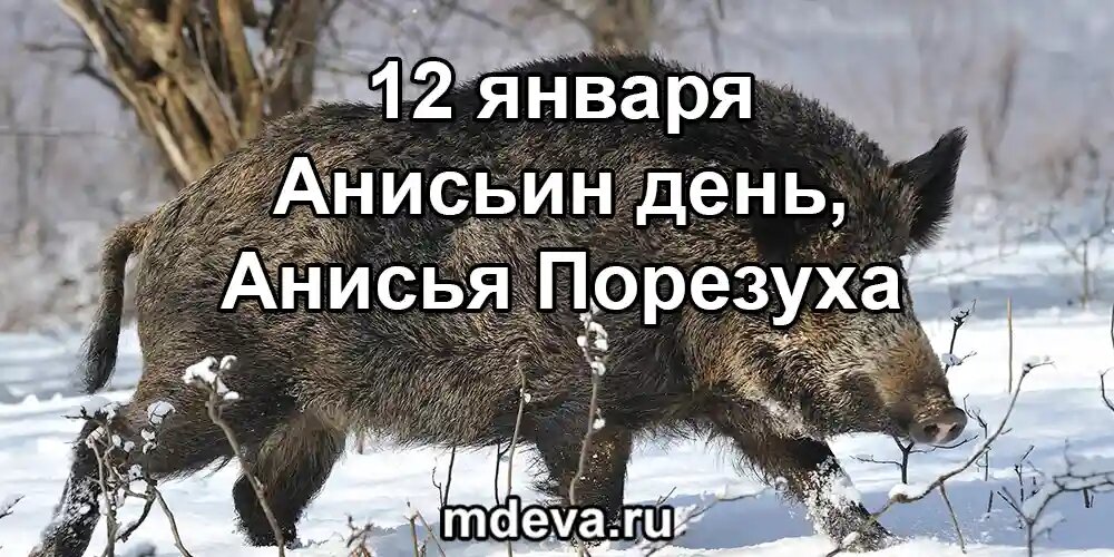 12 января по народному календарю Анисьин день, Анисья Порезуха