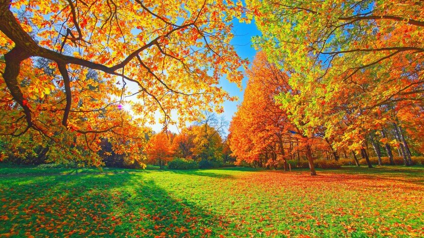 ФОТО : Shutterstock/FOTODOM